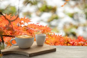 coffee sitting outside next to a tree